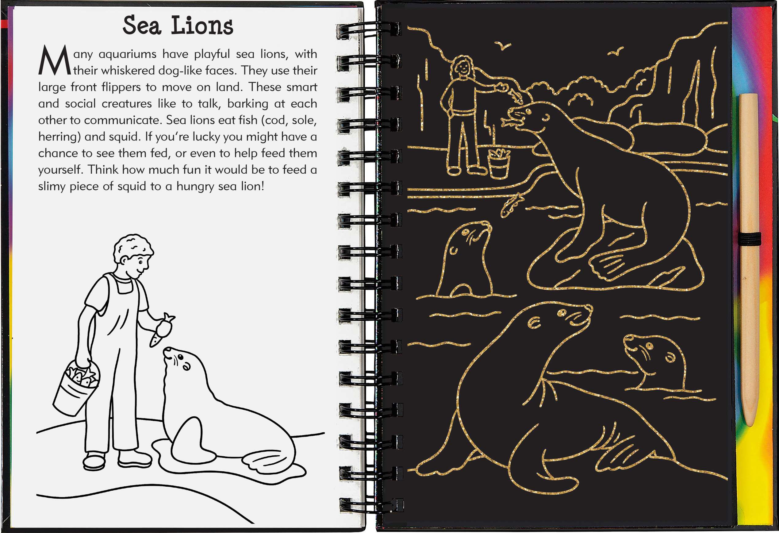 At the Aquarium Scratch and Sketch
