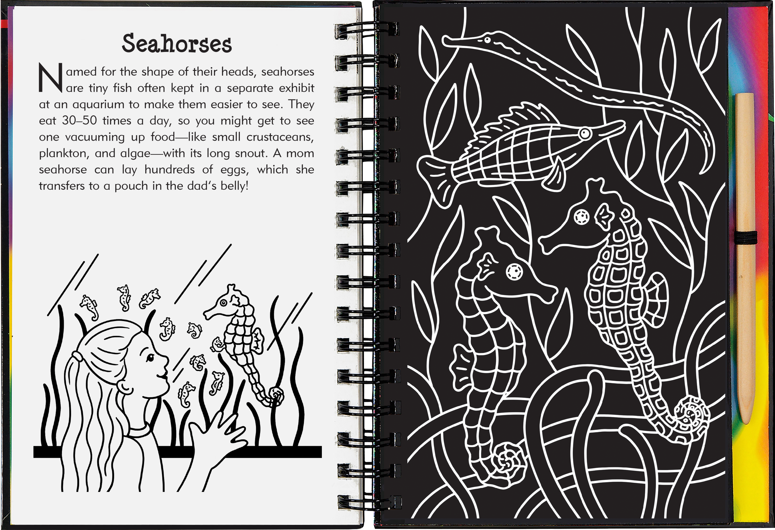 At the Aquarium Scratch and Sketch