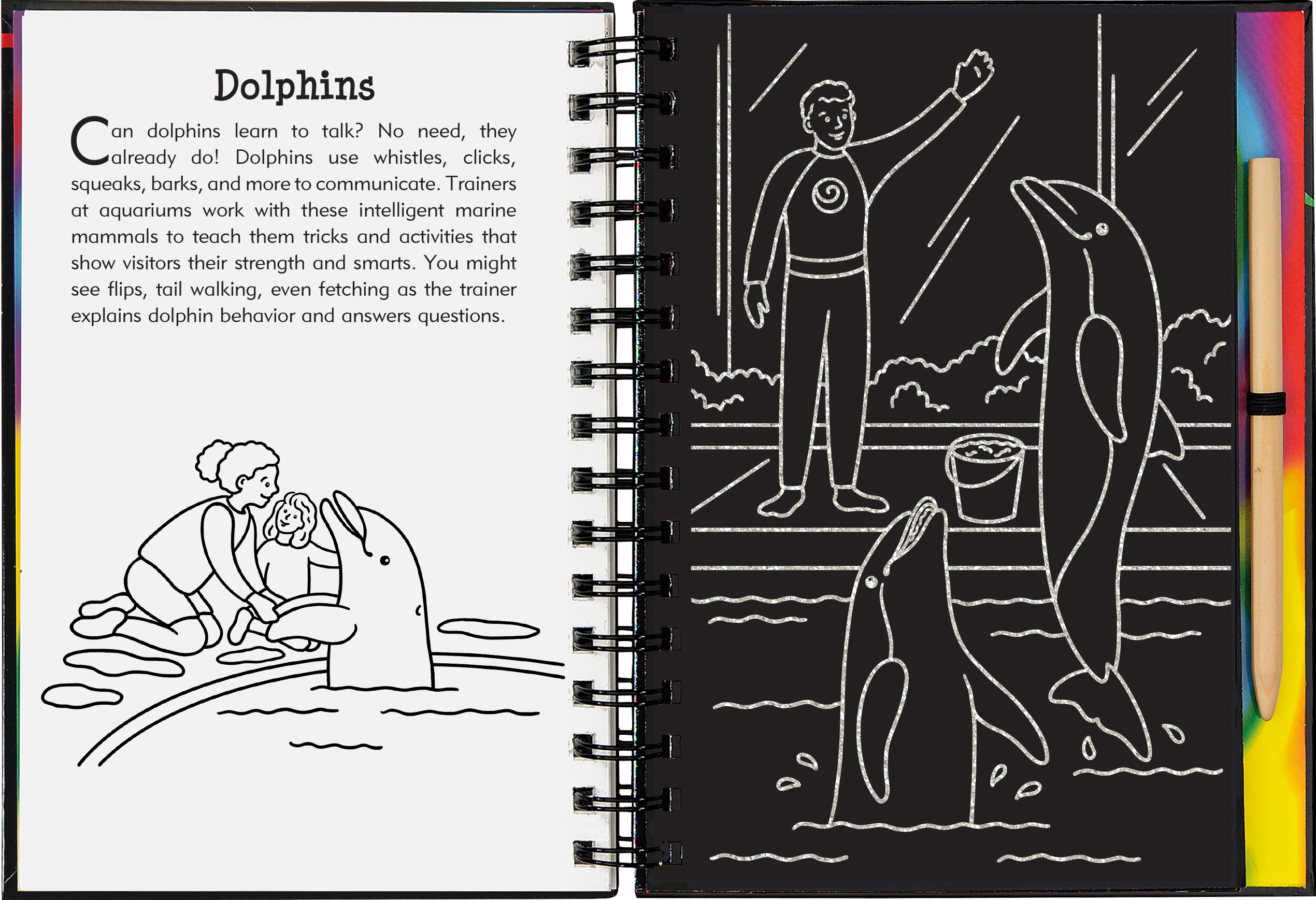 At the Aquarium Scratch and Sketch