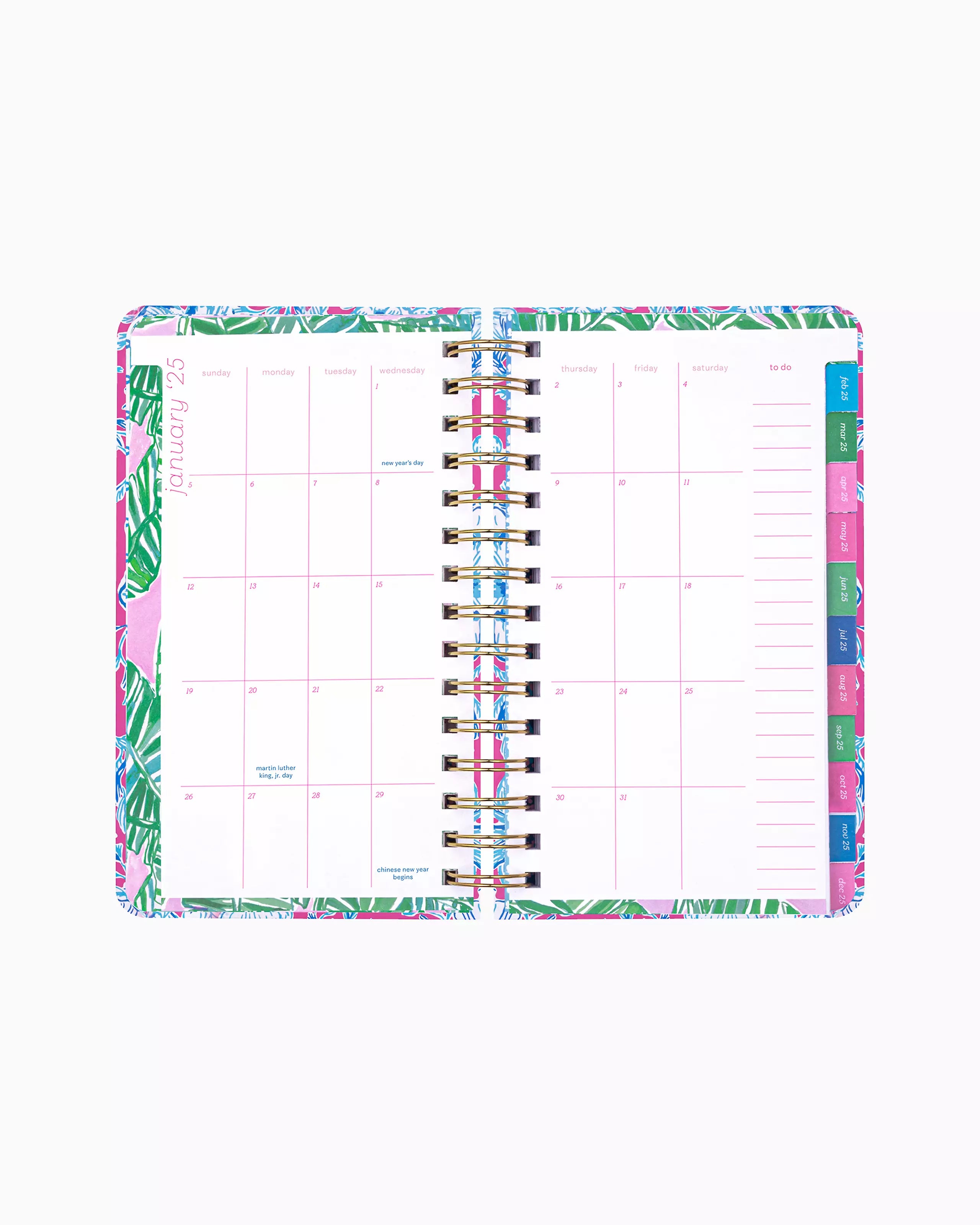 Lilly Pulitzer Medium 17-Month Agenda 2024-2025