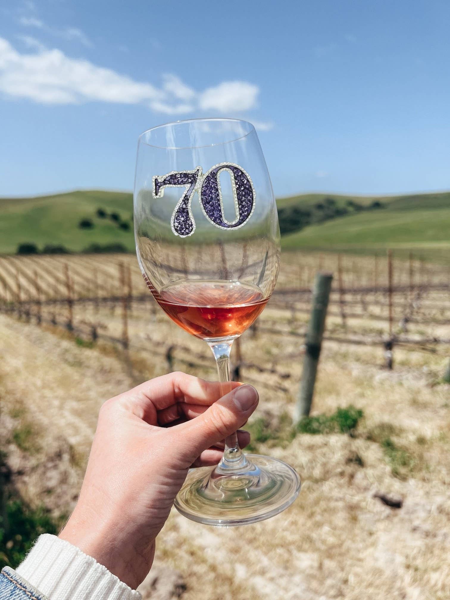 70th Birthday Stemmed Wine Glass