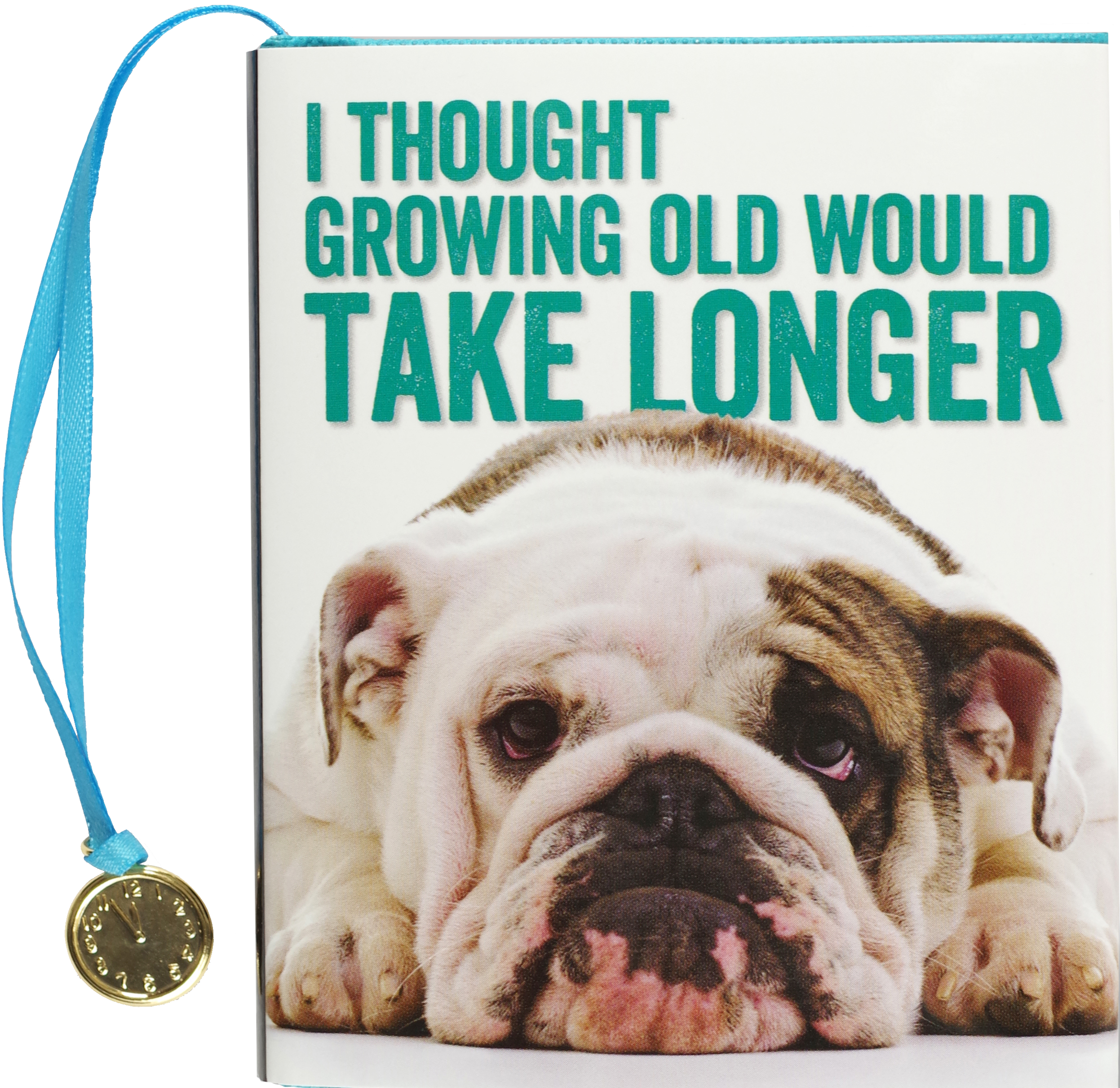 I Thought Growing Old Would Take Longer Everyday Mini Book