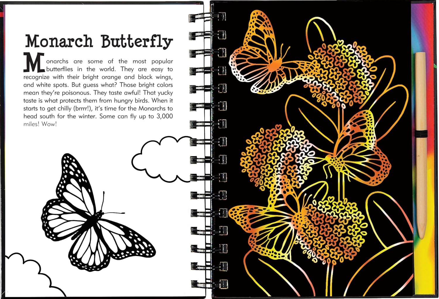 Butterflies & Friends Sketch & Scetch