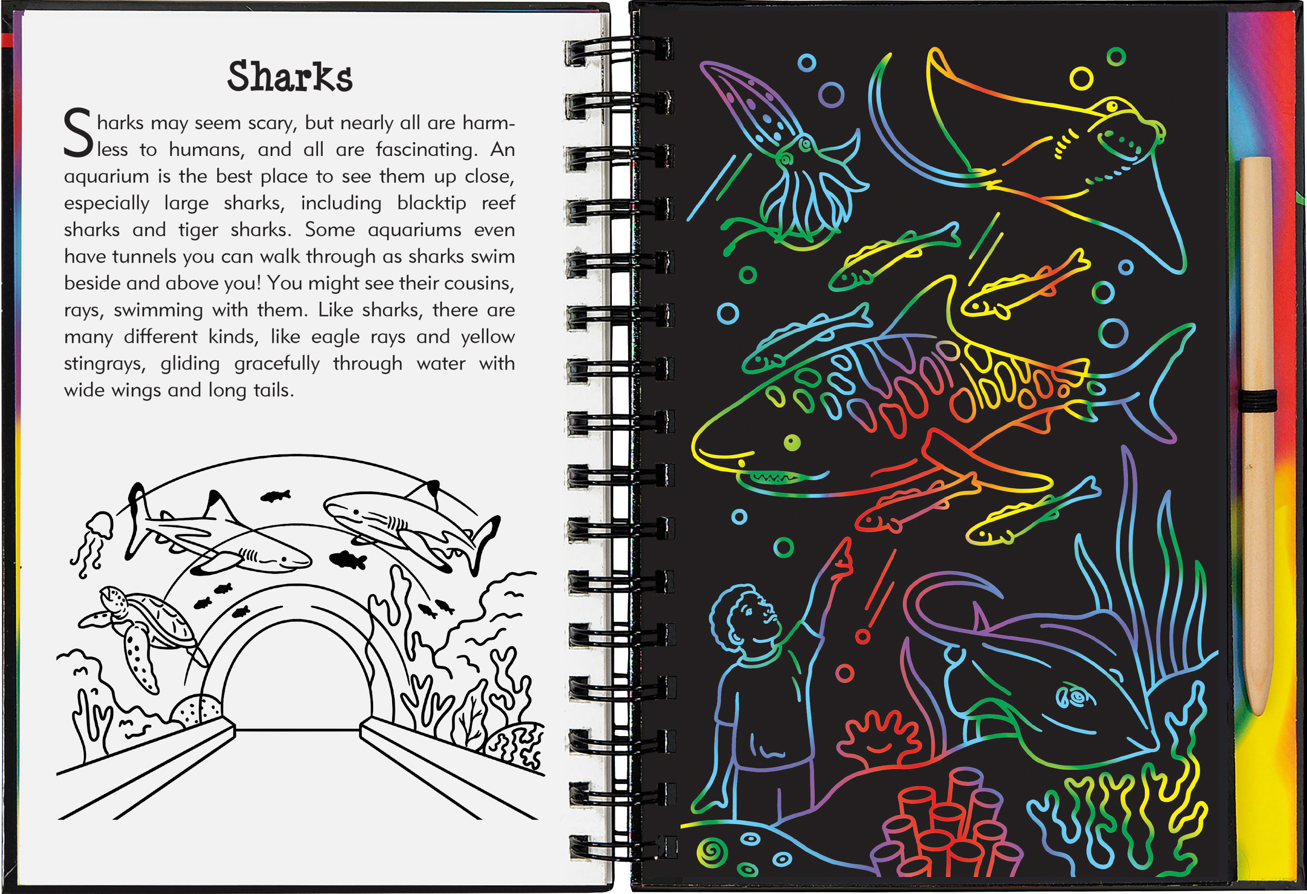 At the Aquarium Scratch and Sketch