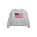 ASST SET/7 AMERICAN FLAG RELAXED SWEATSHIRTS,GREY